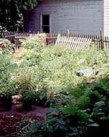 For the first couple of years after we moved into our University neighborhood home this is what our backyard looked like from our driveway!