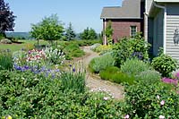 Many of the perennials installed in 1998 have been divided a number of times to provide transplants for new landscape beds throughout the property - as well as the family's summer lake home!