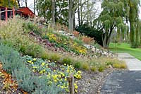 Hundreds of shrubs, long-blooming perennials and ornamental grasses now cover the slope below the residence.