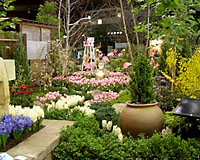 The annual GardenScape Flower and Garden Show in Rochester is approaching its twentith anniversary.