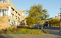 Two years after its installation, the perennials and ornamental grasses have almost completely filled in and are quite dramatic in their autumn hues on a crisp, October afternoon.