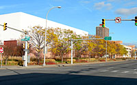 Even in late autumn the OnCenter plantings provide interest via the color and texture of the foliage.