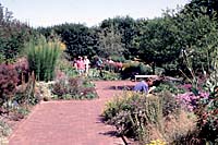 The Idea Garden perennial border at Longwood Gardens in Kennett Square Pennsylvania is almost 300 feet long and packed to the brim with perennials!