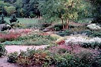 Just over a one hour drive from downtown Syracuse the peony and perennial garden at the Cornell Plantations in Ithaca is great place to learn more about perennials that are well-suited for Central New York landscapes and gardens.