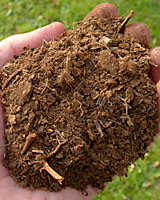 Because its not significantly decomposed, sphagnum peat moss can retain a lot of water while at the same time remianing very well drained.