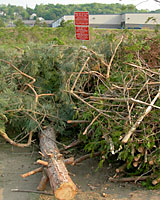 Branches, twigs and clean construction debris are ground to make municipal mulch.