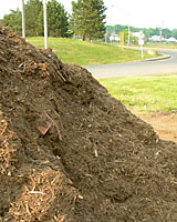 City of Syracuse mulch often contains some plastic, stone and metal contaminates. However, it's what I use in our landscape!