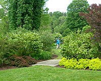 By pulling the planting beds into the property, it's hard to tell where this property ends and the adjacent property begins!