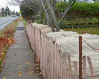 Once saturated with salt-ladden water, burlap can hold salt against the leaves and stems of plants all winter long.