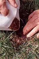 Vertical mulching holes are then filled with compost or calcined clay.