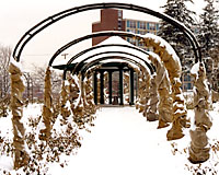 The canes of climbing roses are first bundled to the trellis work, then wrapped in several layers of burlap at The E. M. Mills Memorial Rose Garden in Syracuse.