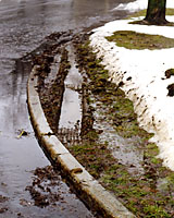 Plants that can tolerate annual damage from snowplows may be better option than replanting grass every spring?