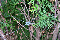 Drawing all wires attached to bent stems through a central washer will allow you to pull stems back into their normal position.