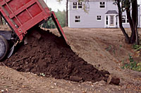 Topsoil can be a significant source of weeds in new landscape plantings.