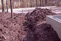 Even shallow excavation can damage tree roots as they grow within a foot of the soil surface and outward 50 to 100 feet or more from the trunk!