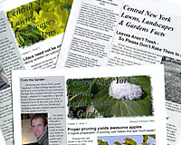 I can help you tell your story through a variety of print media.