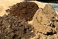 Which of these soils would you prefer to have in your landscape and garden?