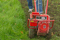 After sod is rototilled wait three weeks then kill sprouting grass with glyphosate.