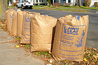 Most municipalities encourage their residents to bag their leaves and set them at the curb for collection. This process is time-consuming for residents and expensive for municipalities.