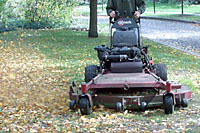Research has shown that mowing more than a foot of leaves into your lawn can actually improve it over time!