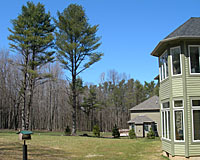 Those trees remaining after construction are prone to future storm damage.