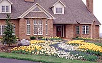 A river of spring-flowering bulbs leads the eye to the front door of this Town of Manlius residence.