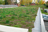 Walters Hall green roof at SUNY College of Environmental Science and Forestry.
