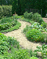 Gardens don't need to have straight rows!