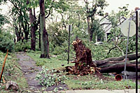 Rain in August is often delivered by thunderstorms that also feature damaging winds. 