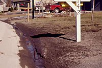 Road salt and other debris can make for a real mess along the edges of Central New York lawns as the snow melts in March!