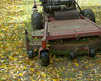 Don't stop mowing until your lawn stops growing - which could be the middle of November in some years!