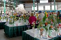 There are eight horticulture competitions in the Horticulture Building at the Great New York State Fair.