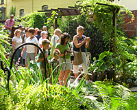 During the last weekend in July, tnes of thousands of people toured gardens throughout the City of Buffalo.