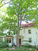 This large maple is within fifteen feet of the foundation of this home and will cause considerable damage if it fails in a storm.