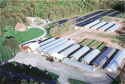 Oliver B. Paine Greenhouses are one of the largest growers of Proven Winner plants in Upstate New York!